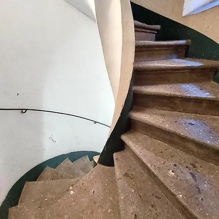 Ych-bright Navona Řím